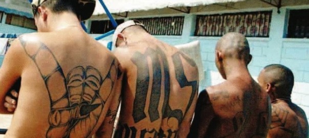 milano gang latinos