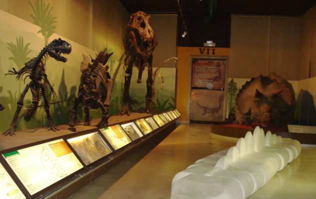 museo di storia naturale