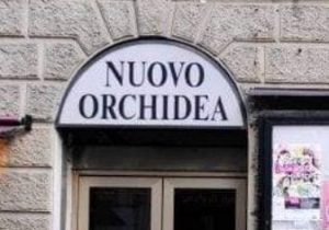 Cinema Orchidea